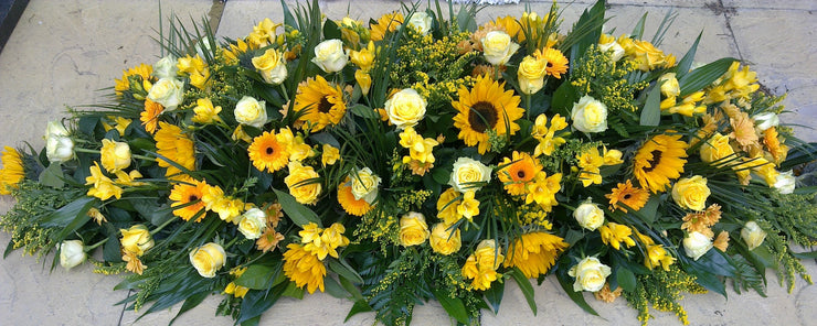 coffin spray sunflower